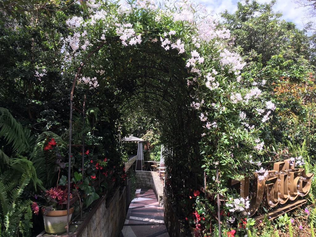 Casa Gaitan Cortes Hotel ボゴタ エクステリア 写真